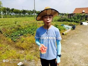 吃瓜论坛骄阳似火,吃瓜论坛热议夏季热点事件