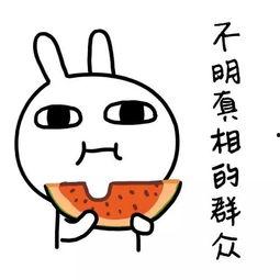 娱乐吃瓜酱隐形式单身,隐形式单身背后的故事