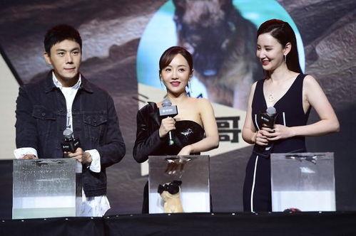 娱乐圈吃瓜爆料素材照片,照片揭秘明星真实生活瞬间